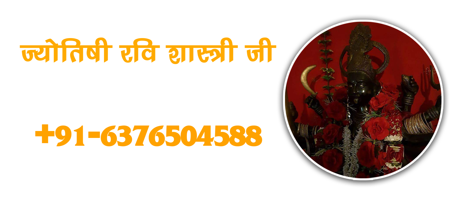 Best Astrologer in India